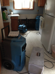 Dehumidification and water extraction equiptment