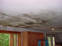Severe Ceiling mold
